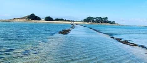 在海灘附近