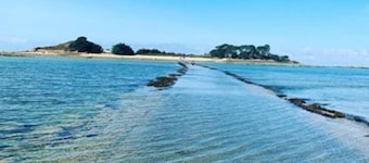 Villa Les Dunes : vue Incroyable et Accès Direct à la mer