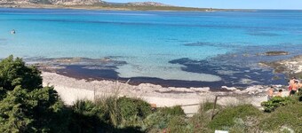 A Pochi Passi dal Mare, con Giardino Privato