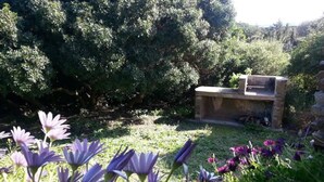 Un jardín con flores moradas y un banco de piedra.