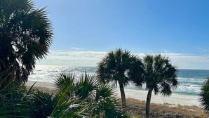 A beach with palm trees and ocean waves.