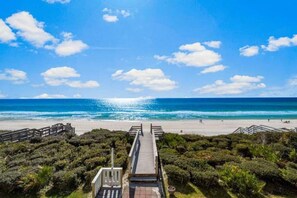 Ein Strand mit einer Holzsteganlage, die zum Ufer führt, umgeben von üppiger Vegetation.