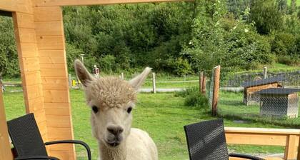 Murau 11 - große Terrasse & gute Lage