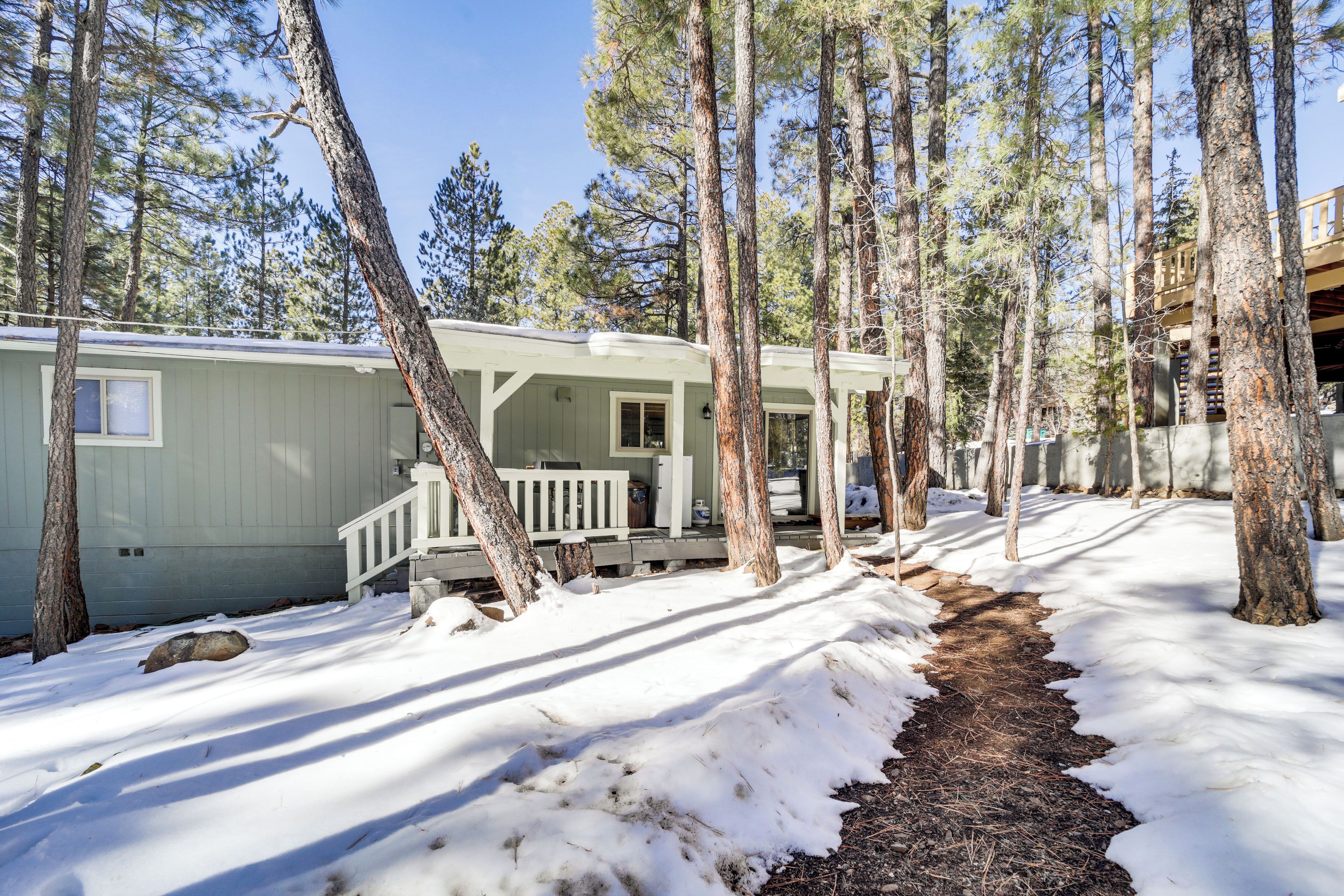 A cabin with a porch and a deck, surrounded by tall pine trees and a snow-covered ground.