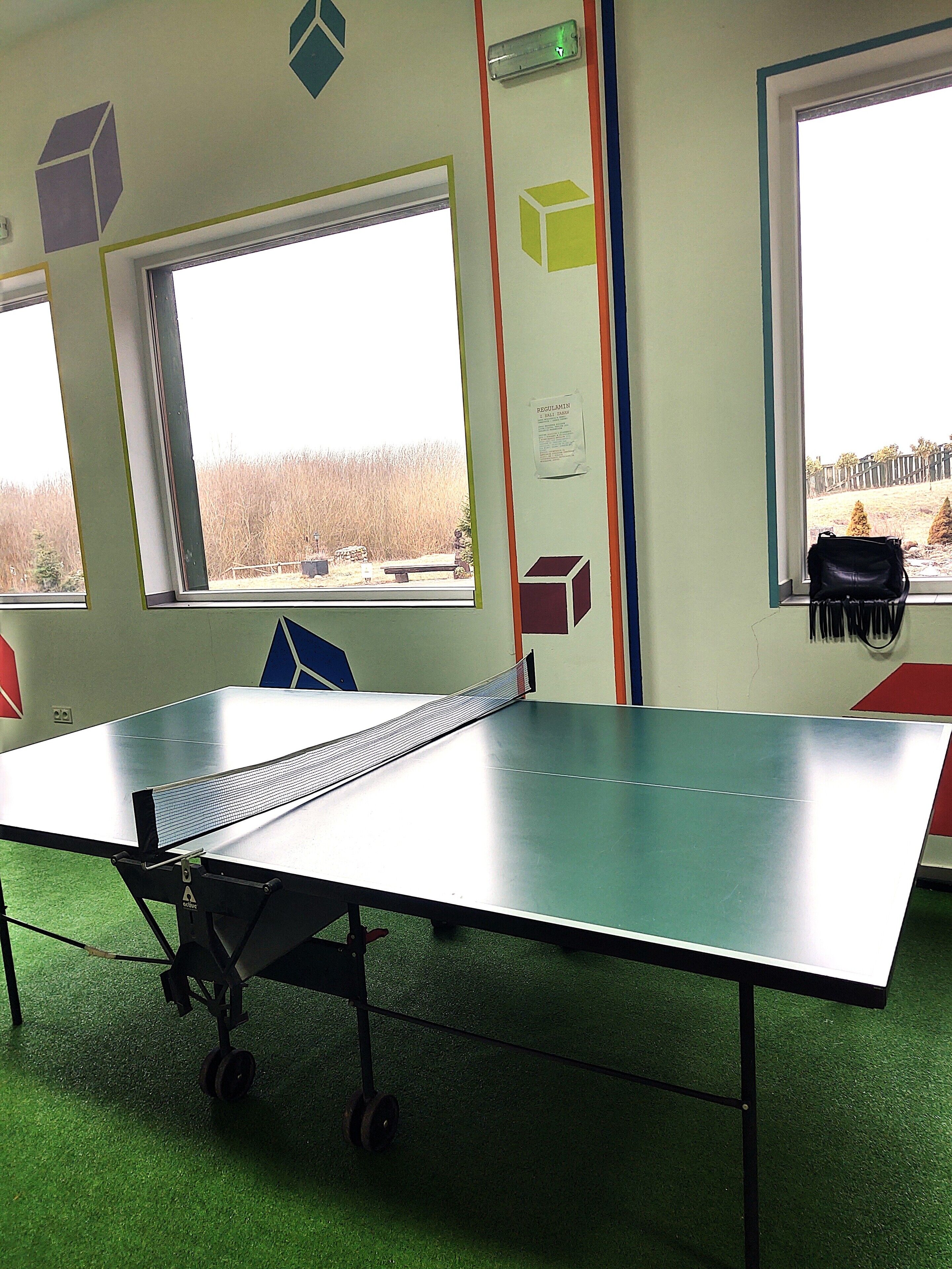 A ping pong table in a room with large windows, green carpet, and geometric wall decorations.