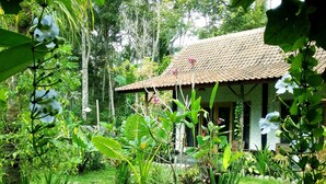Ein traditionelles Haus mit Ziegeldach, umgeben von üppiger Vegetation und einem gepflegten Garten mit verschiedenen Pflanzen und einem Kiesweg.