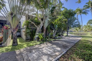 Condo, 1 Bedroom | Property grounds - Kuic146w 1 Bedroom Condo by RedAwning (Kahuku)