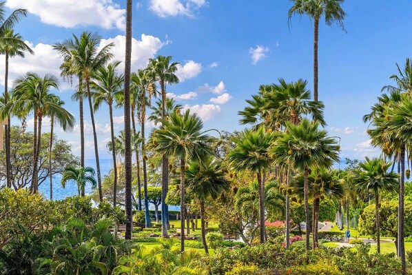 Property grounds - Stunning Remodel I Kamaole Sands 5-207 (Kihei)