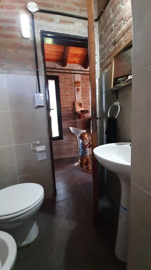 Shower, bidet, towels, soap