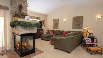 TV, fireplace, computer monitors