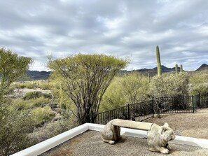 Property grounds - Desert oasis in the heart of the Tucson Mountains nestled by iconic Saguaros. (Tucson)