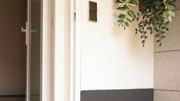 A door with a doormat, a potted plant with pink flowers, and a wall with a sign. - Kuzey Apartments (Kappel-Grafenhausen)