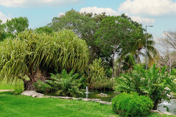 A lush garden with a variety of plants and a small pond.