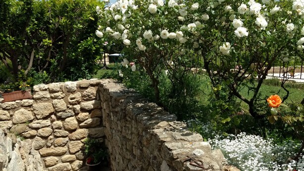 Un muro de piedra con una pequeña abertura, rodeado de un jardín con flores blancas y una planta en maceta con flores rojas.
