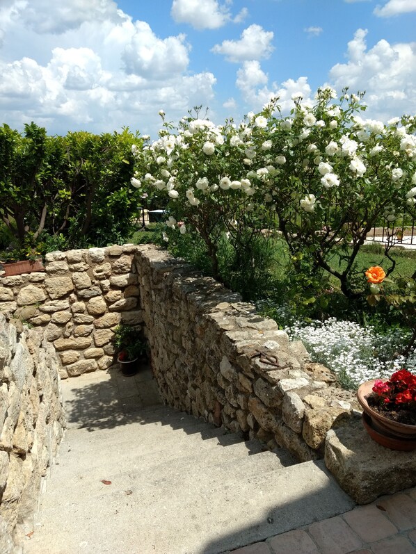 Property grounds - Maison et Piscine au Cœur des Vignes.calme, Authenticité du Paysage Languedocien (Pailhes)