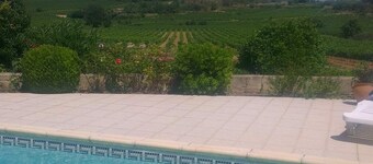 Maison et Piscine au Cœur des Vignes.calme, Authenticité du Paysage Languedocien