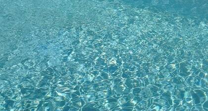Maison et piscine au cĆur des vignes.Calme, authenticitĂ© du paysage languedocien