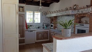 Una cocina con salpicadero de azulejos, armarios de madera, horno empotrado y una planta colgante.