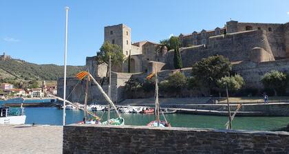 Authentique Mas Catalan Entièrement Rénové à 10 Minutes des Plages