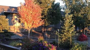 Terrein van de accommodatie