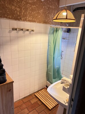 Shower, hair dryer, towels