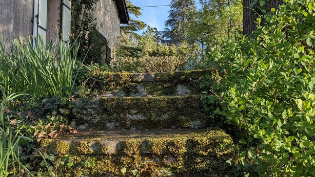 Un escalier en pierre mène à un bâtiment à l’aspect rustique, entouré d’une végétation luxuriante et d’arbres.