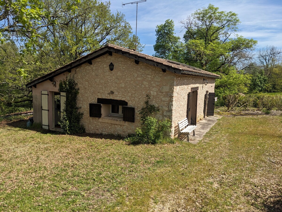 Imagen de perfil del propietario o de la propietaria