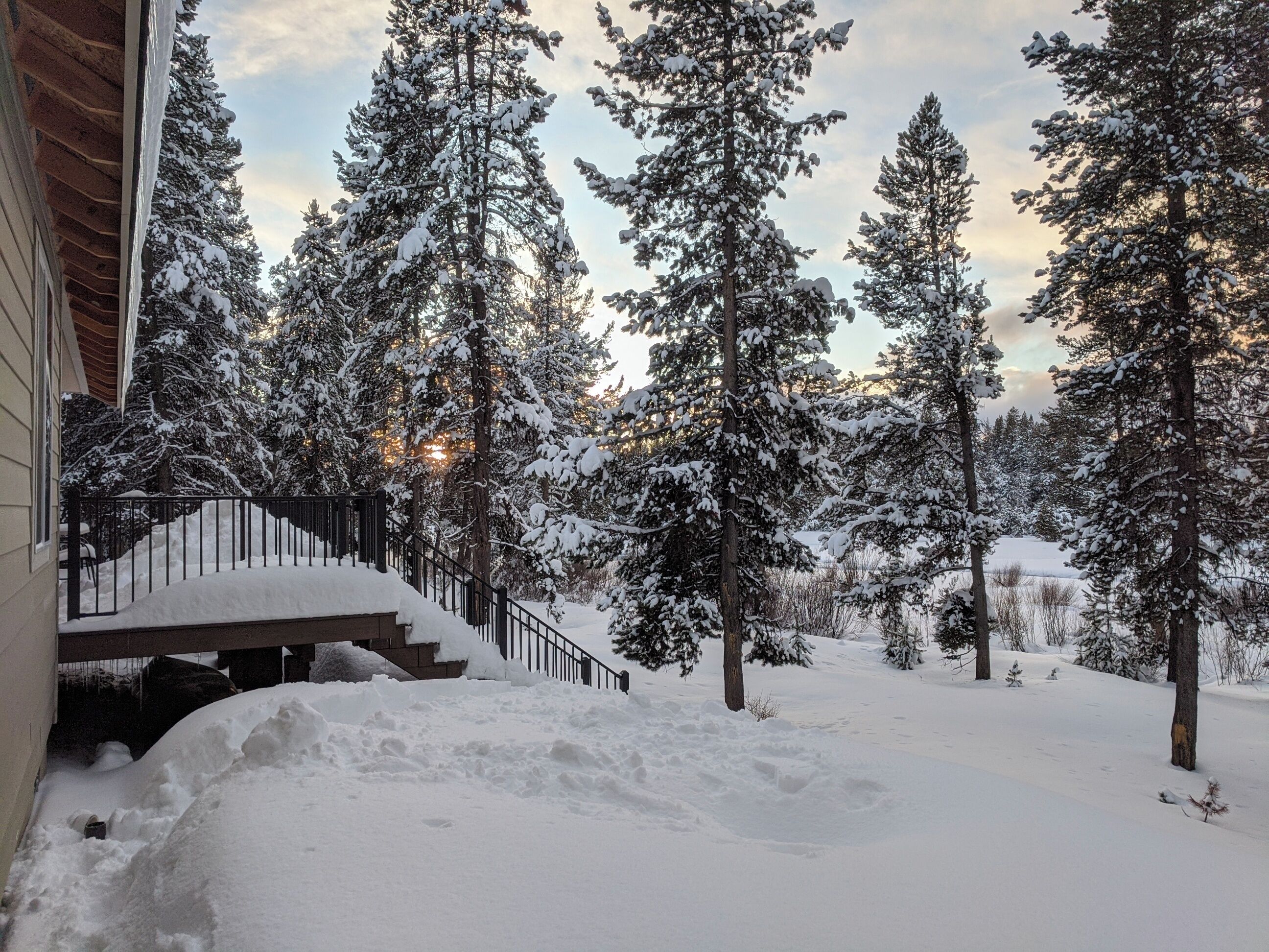 Área da propriedade