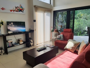 Smart TV, DVD player