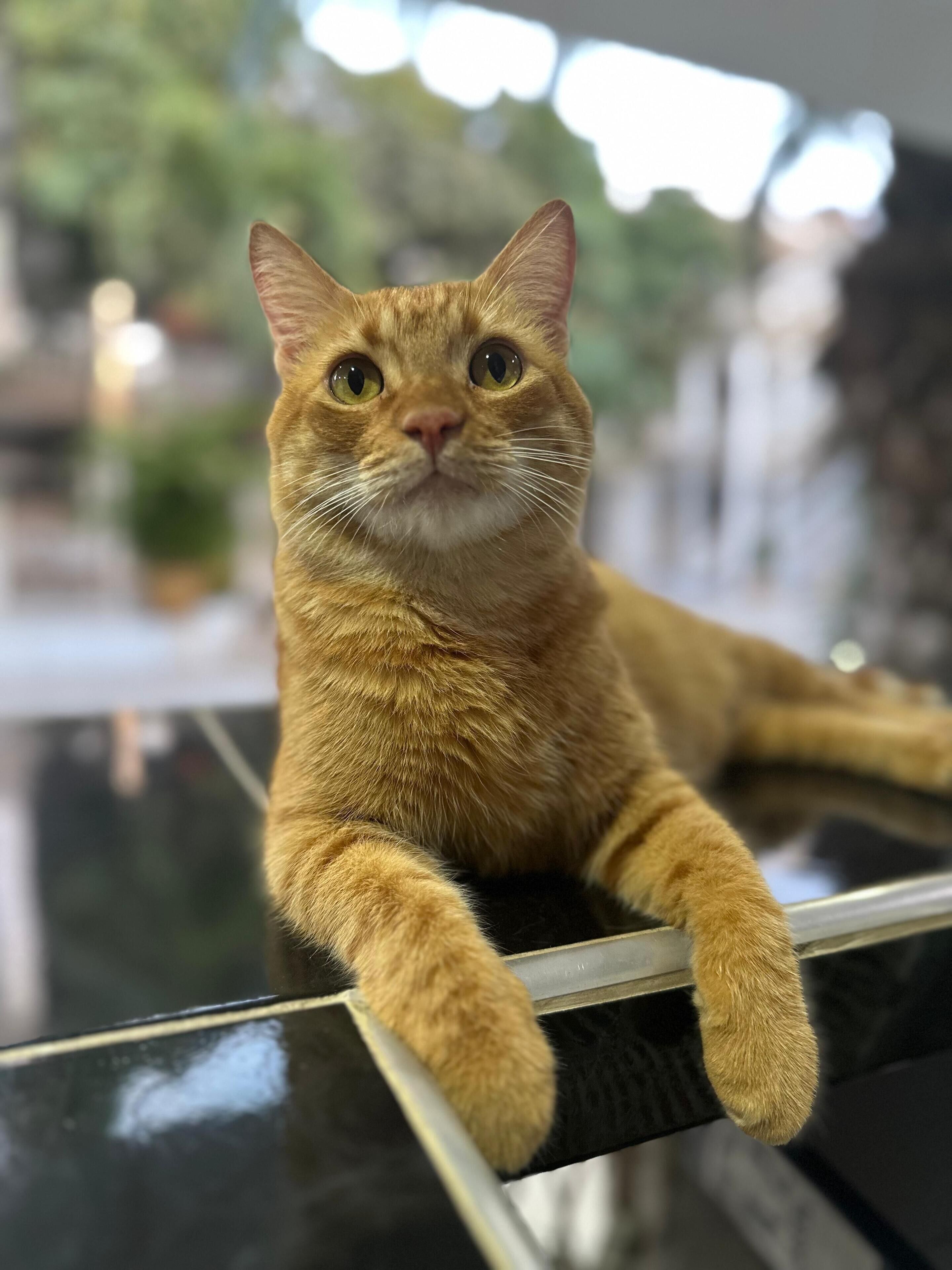 Foto - SGH Castillo Aqua