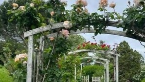 Un sendero en un jardín con un arco de madera cubierto de rosales trepadores.