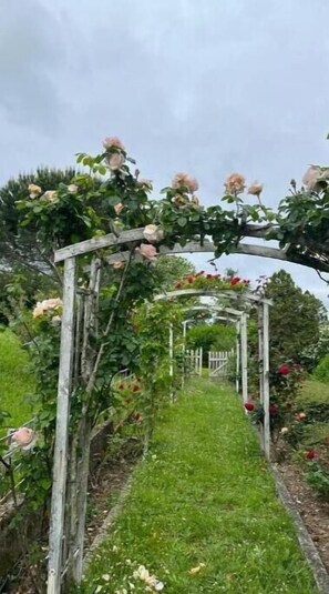 المنطقة المحيطة بالمنشأة