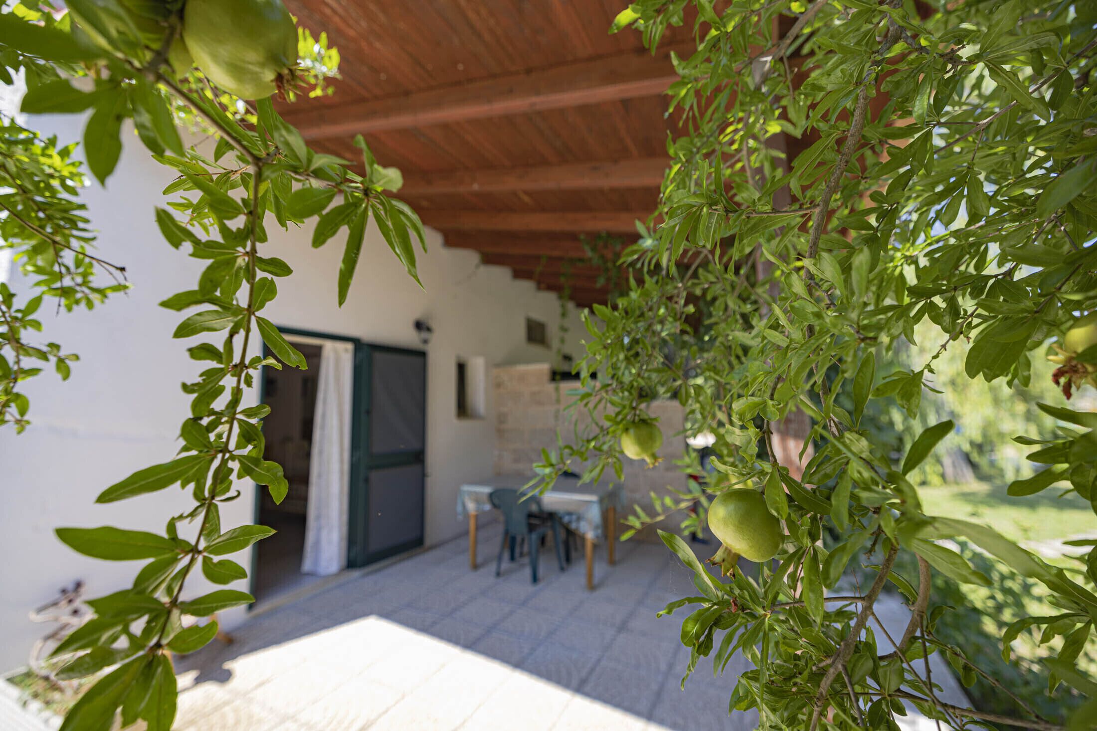 Studio Standard | Terrasse/Patio
