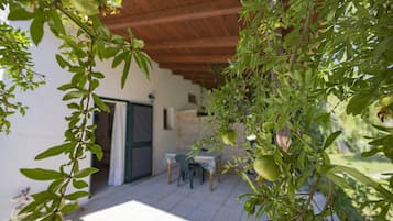 Studio Standard | Terrasse/Patio