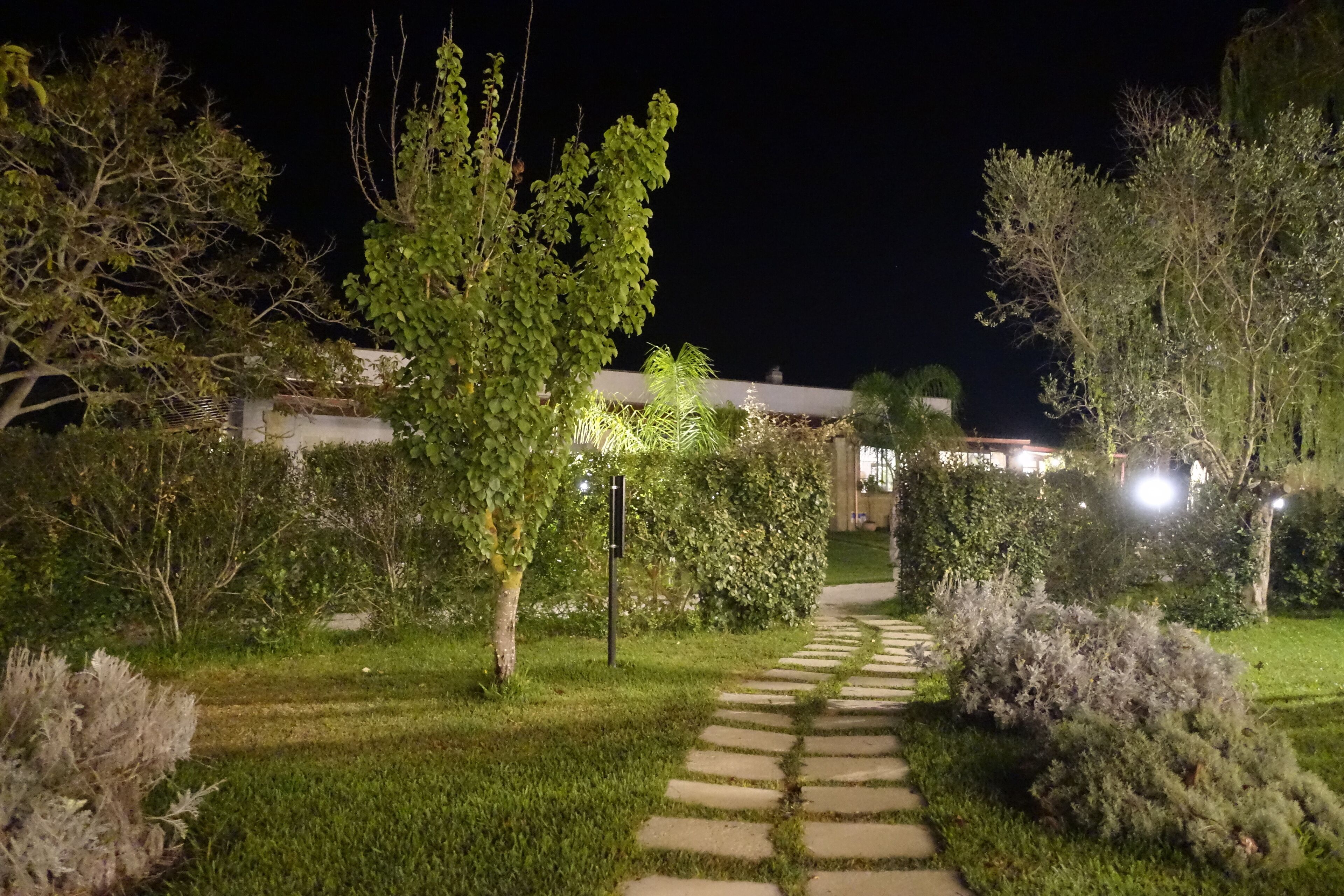 A nighttime garden with a stone pathway leading to a building.