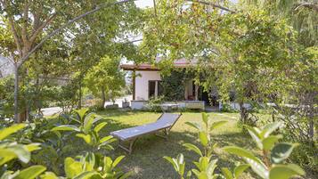Studio Standard | Vue sur le jardin