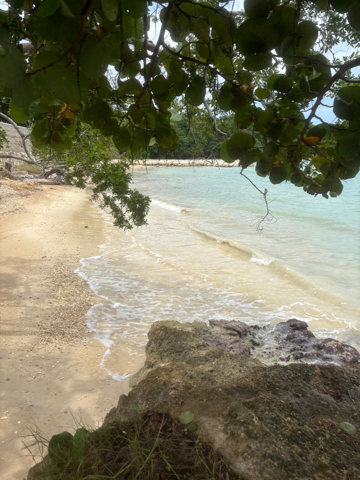 Camastros y toallas de playa 