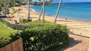 A beach view with palm trees, a clear sky, and a stone pathway leading to the beach.