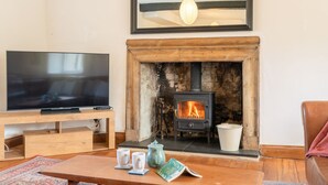 Een woonkamer met een televisie op een houten standaard, een open haard met houtkachel, een witte emmer en een bruine leren fauteuil.