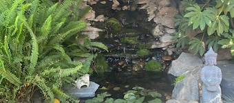 Large Groups Sequoia Park, CA Coast Wineries, Skiing. Enjoy Fire Pit, Hot Tub, Outdoor Kitchen