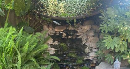 Large Groups Sequoia Park, CA Coast Wineries, Skiing. Enjoy Fire Pit, Hot Tub, Outdoor Kitchen