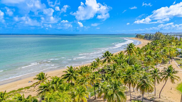A beach with palm trees and a clear blue sky. - Steps from a beautiful beach – Your Puerto Rican Getaway Awaits (Río Grande)