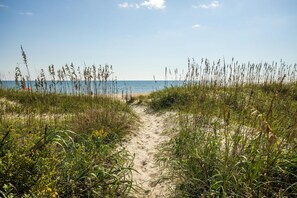 A sandy beach path leading to the sea, surrounded by tall grasses and plants.
