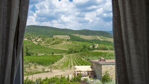 A vineyard landscape viewed through curtains, with rows of grapevines and a stone building in the foreground.