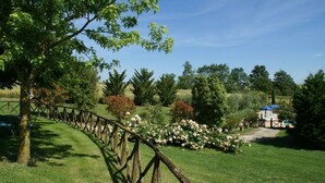 A well-maintained garden with a wooden fence, a variety of trees, and a clear sky.