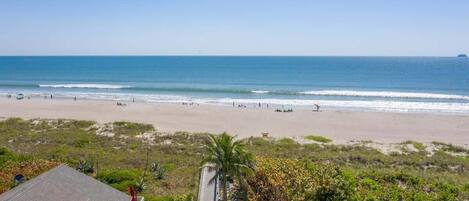 بالقرب من الشاطئ