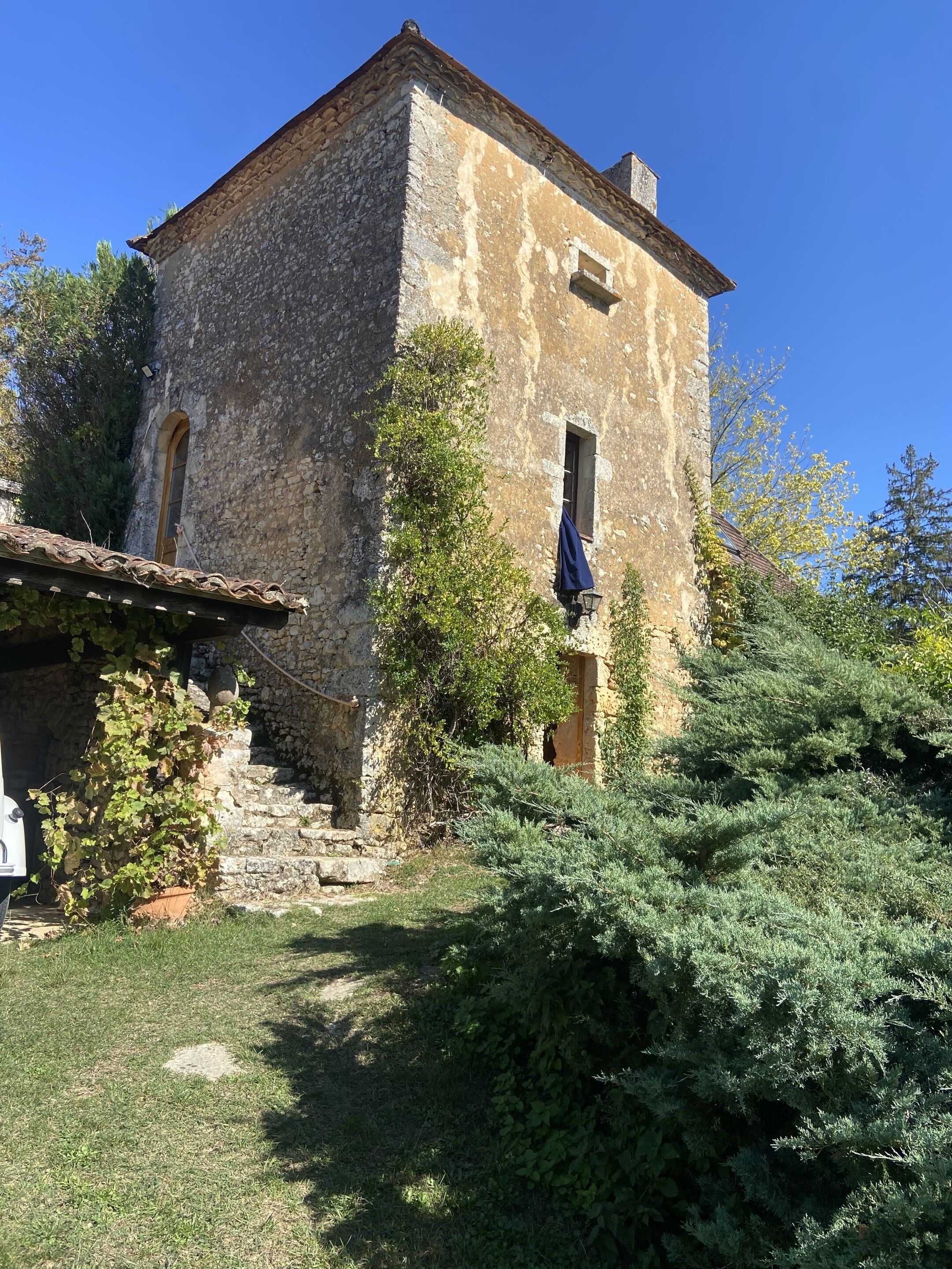 Jardin avant