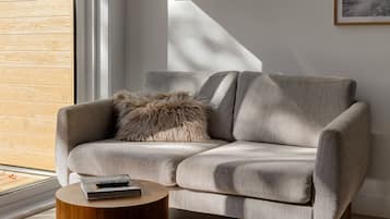 Smart TV, chimenea, libros y biblioteca musical