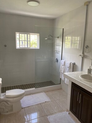 Ein Badezimmer mit Toilette, Dusche und Waschbecken.