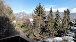 Une vue sur la montagne, avec de grands arbres à feuilles persistantes, un sol recouvert de neige et un ciel dégagé.
